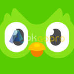 Duolingo Premium APK